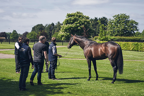 The-National-Stud-Dominic-James_DJ_3599