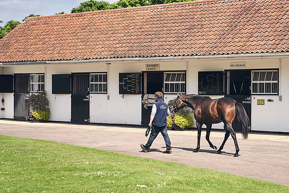 The-National-Stud-Dominic-James_DJ_3524