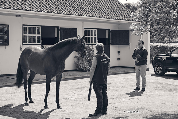 The-National-Stud-Dominic-James_DJ_3491