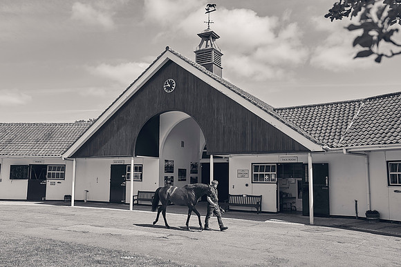 The-National-Stud-Dominic-James_DJ_3536
