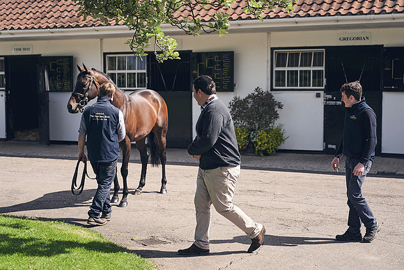The-National-Stud-Dominic-James_DJ_3497