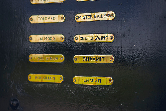 The-National-Stud-Dominic-James_DOM9905