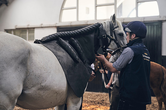 The-National-Stud-Dominic-James_DJ_4068