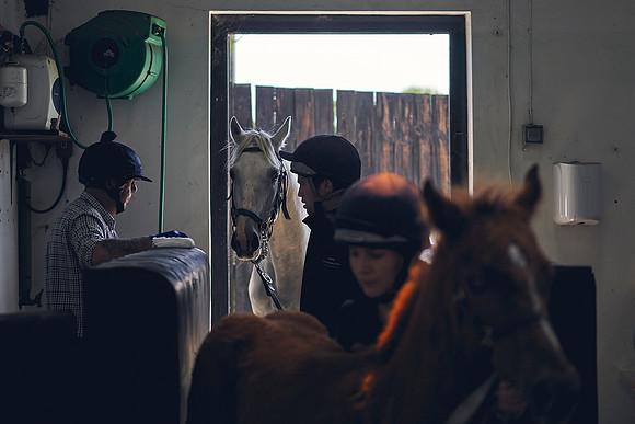 The-National-Stud-Dominic-James_DOM0034