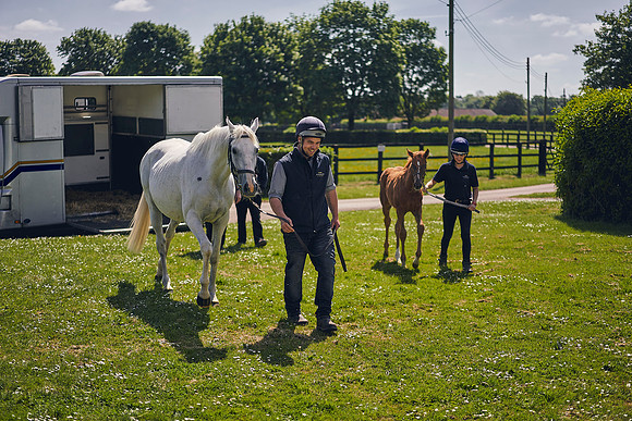 The-National-Stud-Dominic-James_DOM0008