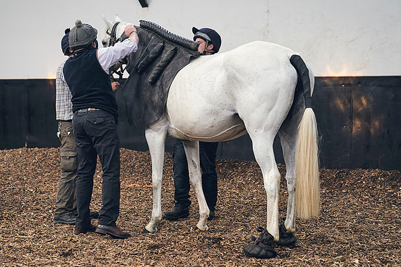 The-National-Stud-Dominic-James_DJ_4063