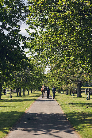 The-National-Stud-Dominic-James_DJ_3788