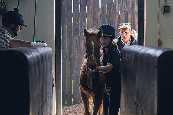The-National-Stud-Dominic-James_DOM0024