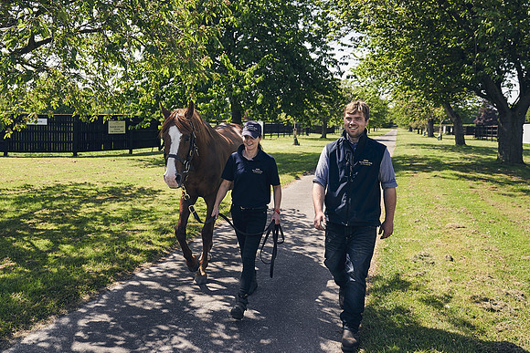 The-National-Stud-Dominic-James_DJ_3814