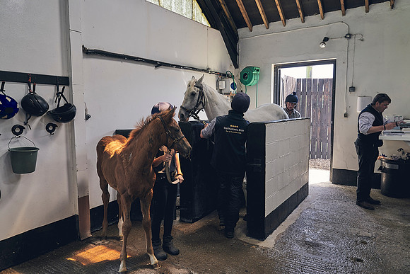 The-National-Stud-Dominic-James_DJ_4020