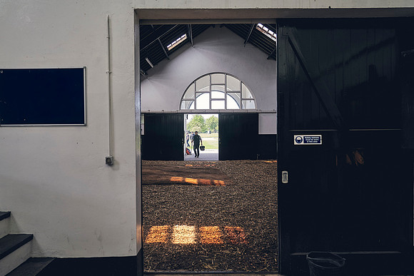 The-National-Stud-Dominic-James_DJ_3684