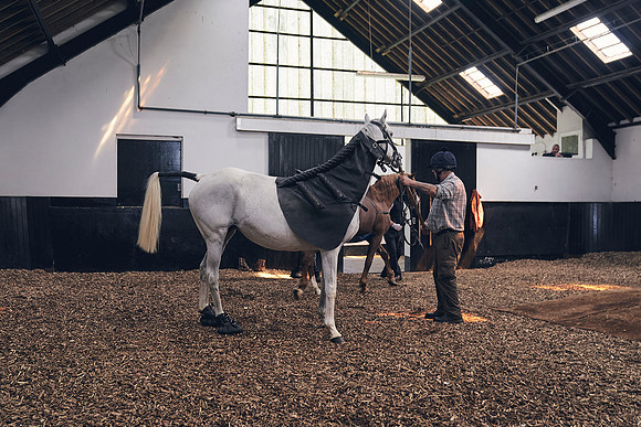 The-National-Stud-Dominic-James_DJ_4134