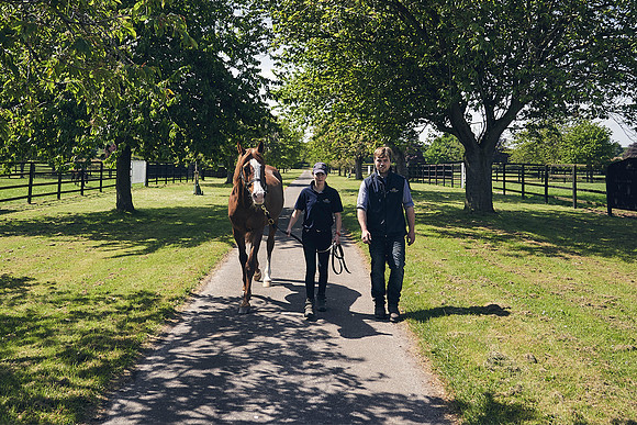 The-National-Stud-Dominic-James_DJ_3808