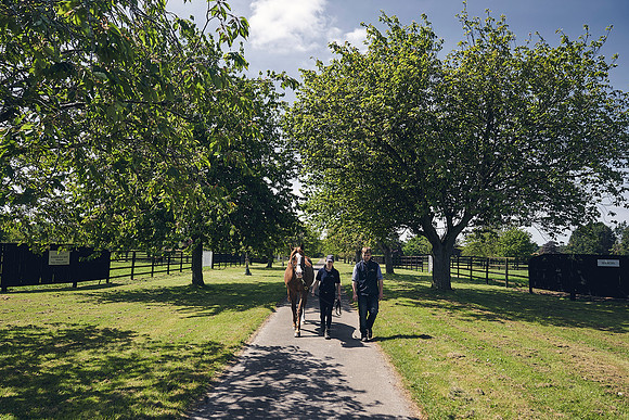 The-National-Stud-Dominic-James_DJ_3806