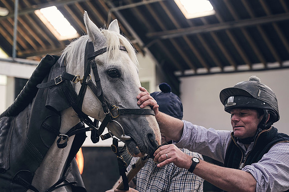 The-National-Stud-Dominic-James_DJ_4079