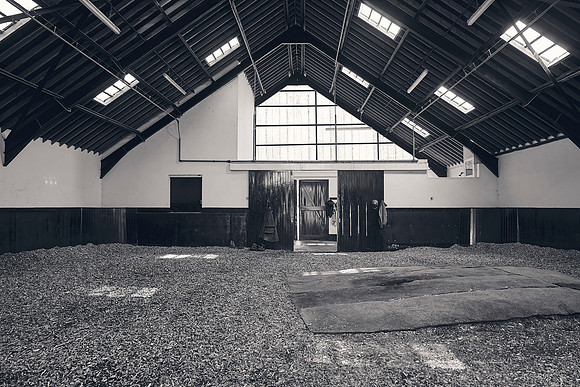 The-National-Stud-Dominic-James_DJ_3710