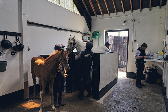 The-National-Stud-Dominic-James_DJ_4022