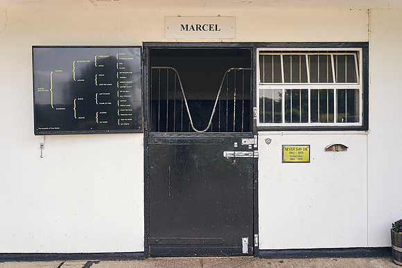 The-National-Stud-Dominic-James_DJ_3722