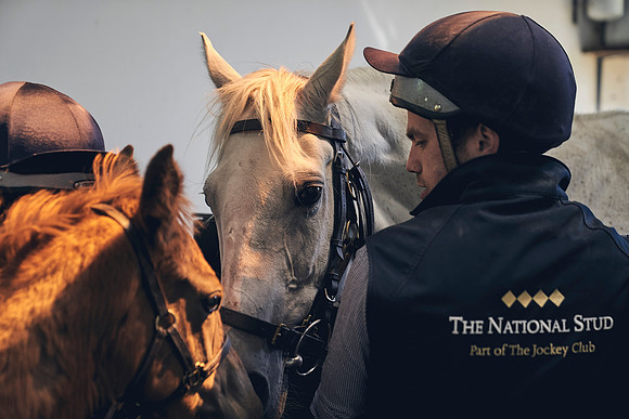 The-National-Stud-Dominic-James_DJ_4039