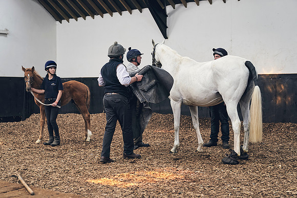 The-National-Stud-Dominic-James_DJ_4056