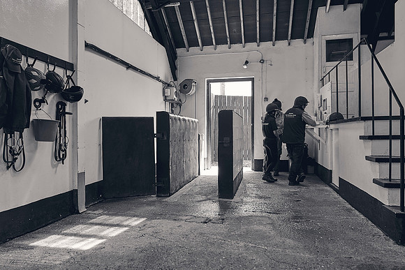 The-National-Stud-Dominic-James_DJ_4005