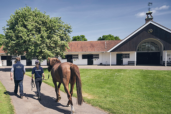 The-National-Stud-Dominic-James_DJ_3818