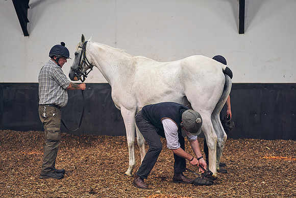 The-National-Stud-Dominic-James_DOM0145