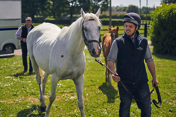 The-National-Stud-Dominic-James_DOM0016