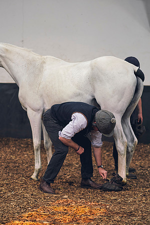 The-National-Stud-Dominic-James_DOM0150