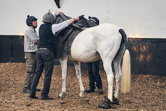 The-National-Stud-Dominic-James_DJ_4059