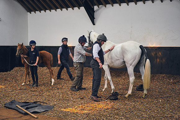 The-National-Stud-Dominic-James_DOM0141