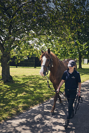 The-National-Stud-Dominic-James_DJ_3817