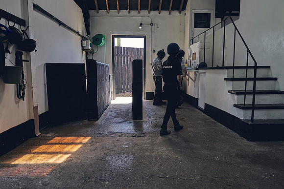 The-National-Stud-Dominic-James_DJ_4000
