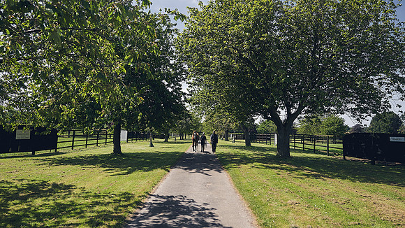 The-National-Stud-Dominic-James_DJ_3793