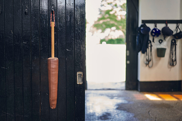 The-National-Stud-Dominic-James_DOM9987