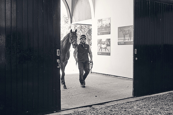 The-National-Stud-Dominic-James_DJ_4159