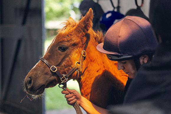The-National-Stud-Dominic-James_DOM0057
