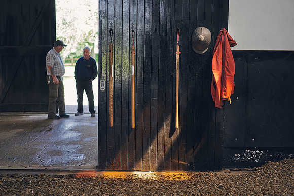 The-National-Stud-Dominic-James_DOM9972