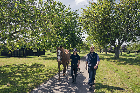 The-National-Stud-Dominic-James_DJ_3812