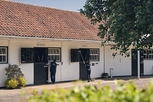 The-National-Stud-Dominic-James_DJ_3757