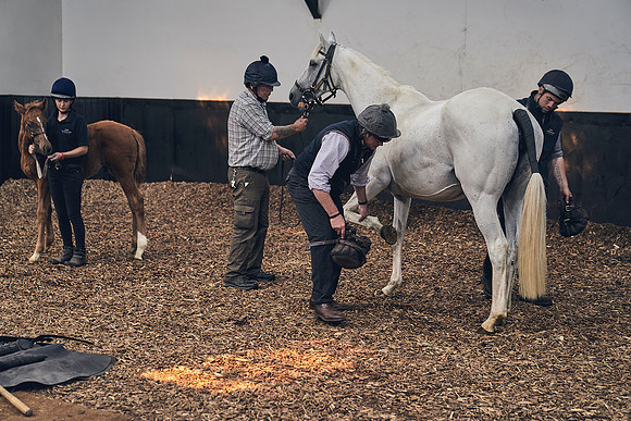The-National-Stud-Dominic-James_DJ_4049