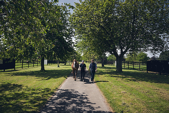 The-National-Stud-Dominic-James_DJ_3803