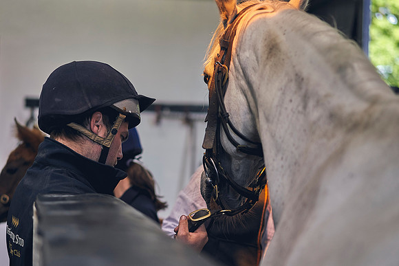 The-National-Stud-Dominic-James_DOM0134