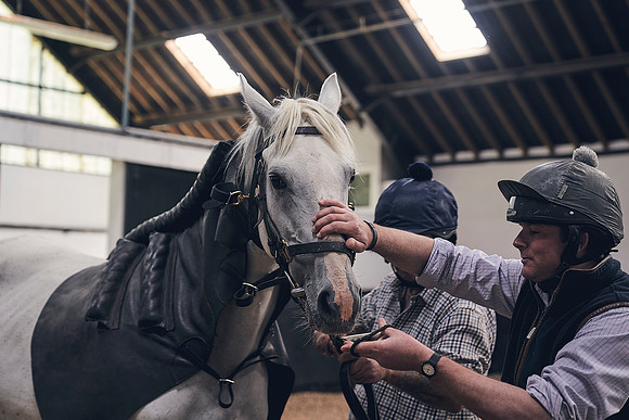 The-National-Stud-Dominic-James_DJ_4076