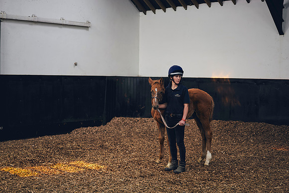 The-National-Stud-Dominic-James_DOM0156