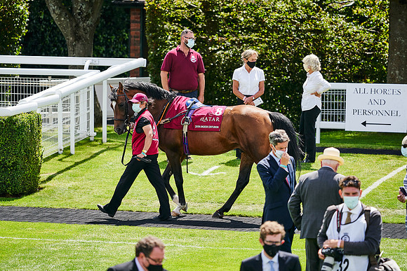 QGF2020_DominicJames-014479