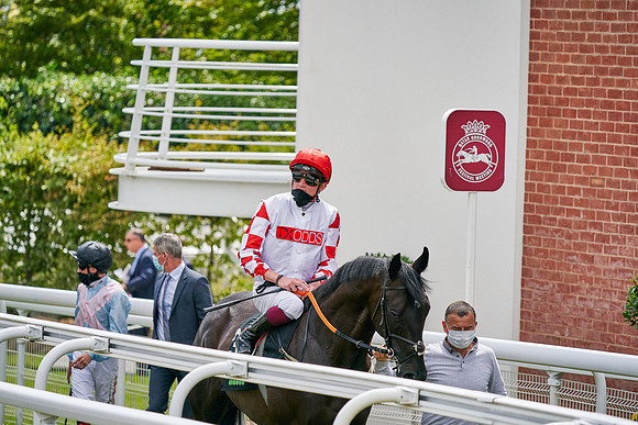 QGF2020_DominicJames-015020