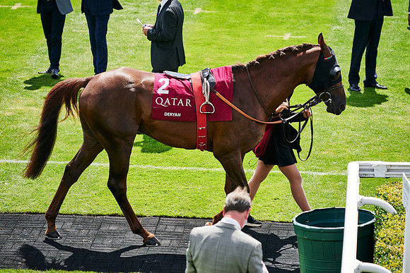 QGF2020_DominicJames-014462