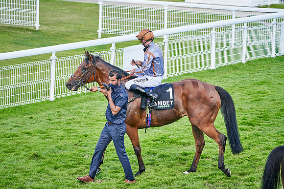 QGF2020_DominicJames-016228