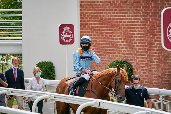 QGF2020_DominicJames-015053